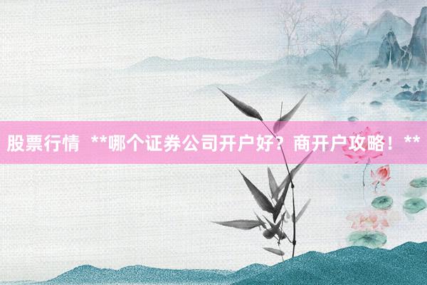 股票行情  **哪个证券公司开户好？商开户攻略！**