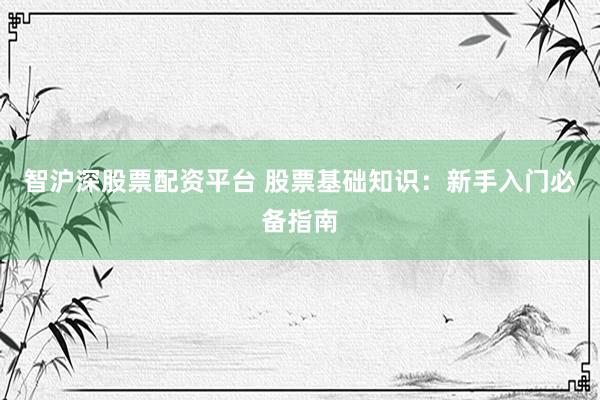 智沪深股票配资平台 股票基础知识：新手入门必备指南