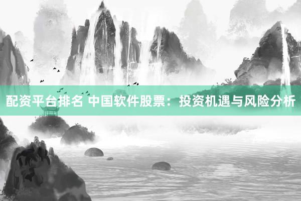 配资平台排名 中国软件股票：投资机遇与风险分析