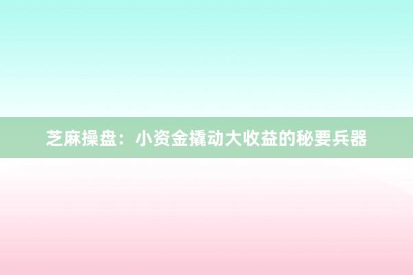 芝麻操盘：小资金撬动大收益的秘要兵器