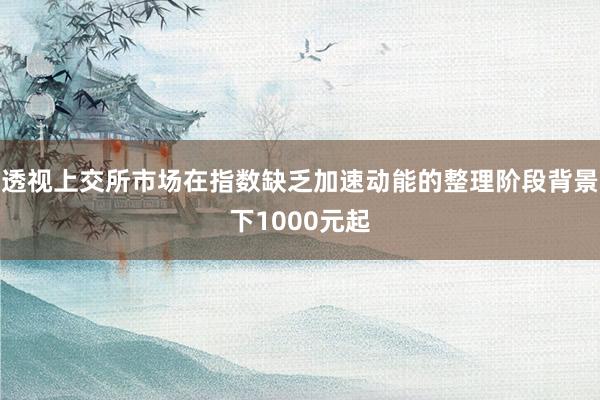 透视上交所市场在指数缺乏加速动能的整理阶段背景下1000元起
