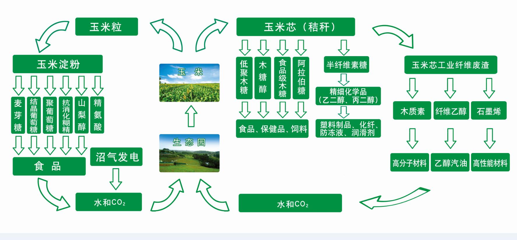 变废为宝:神奇的玉米芯衍生出三大国家战略性新兴产业